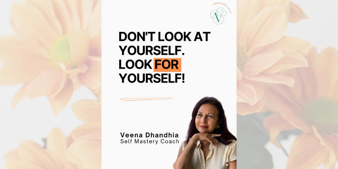 Veena - Look for yourself